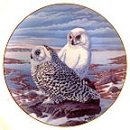 Arctic Watch - Quebec's Snowy Owl collector plate by Terry McLean