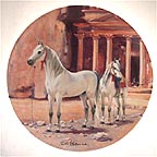 The Arabian collector plate by Susie Whitcombe